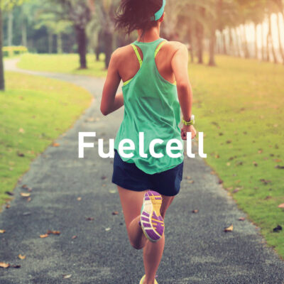 FuelCell
