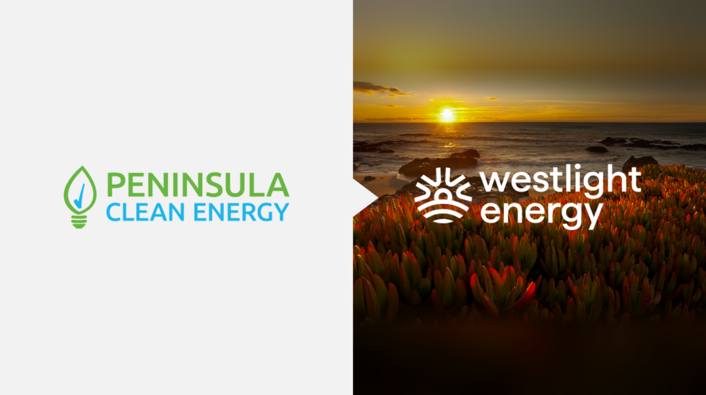 WestLight Energy: The Right Input at the Right Time