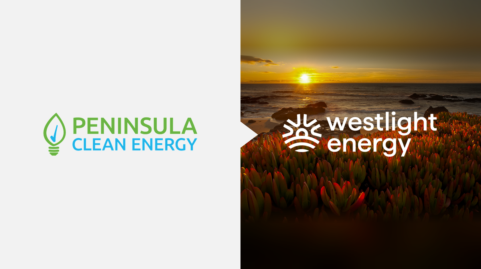 WestLight Energy: The Right Input at the Right Time